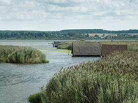 blick auf den Federsee